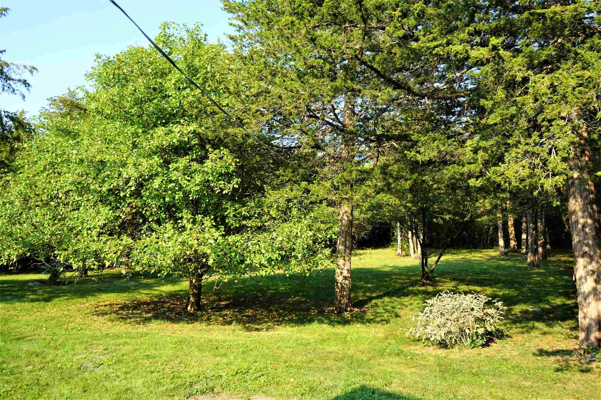 560 West Shore Road South Hero VT 05486