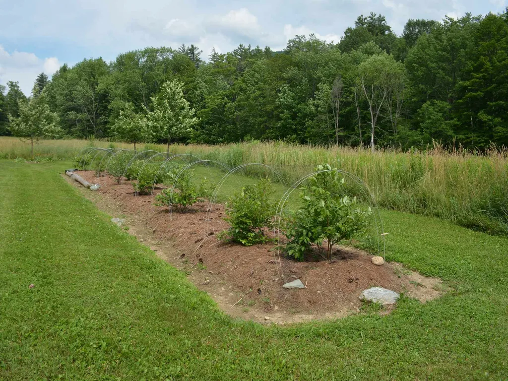 221 Eurich Farm Road Waitsfield VT 05673