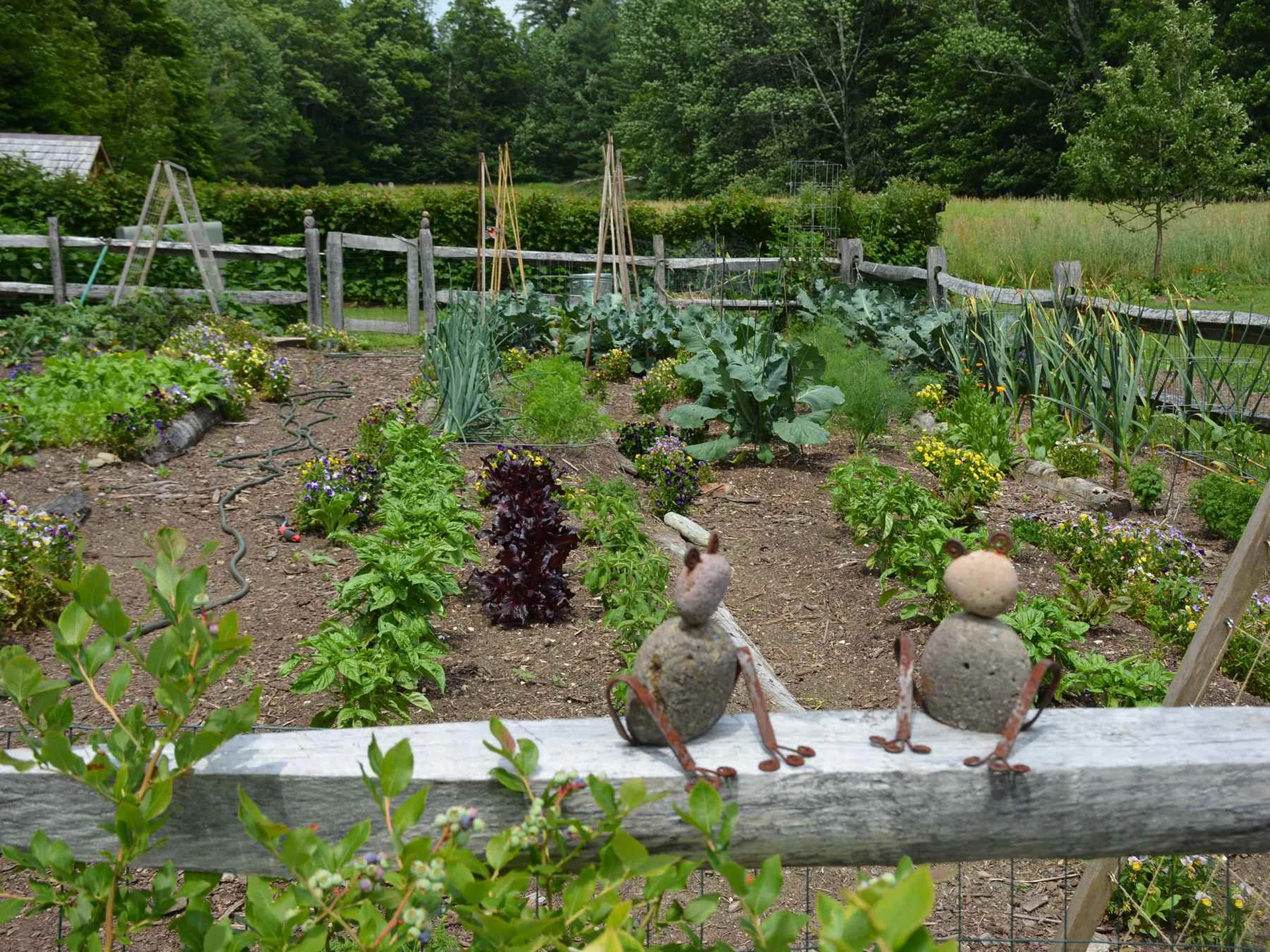 221 Eurich Farm Road Waitsfield VT 05673
