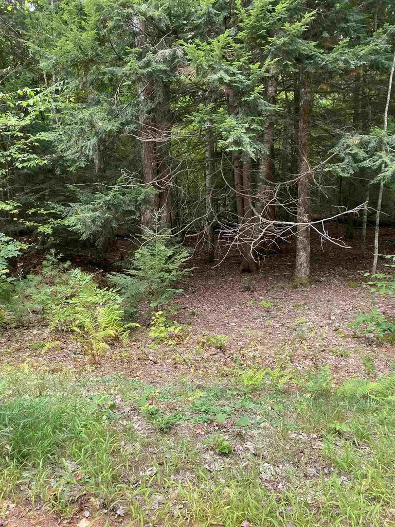 37 Hedgewood Circle Gilford NH 03249
