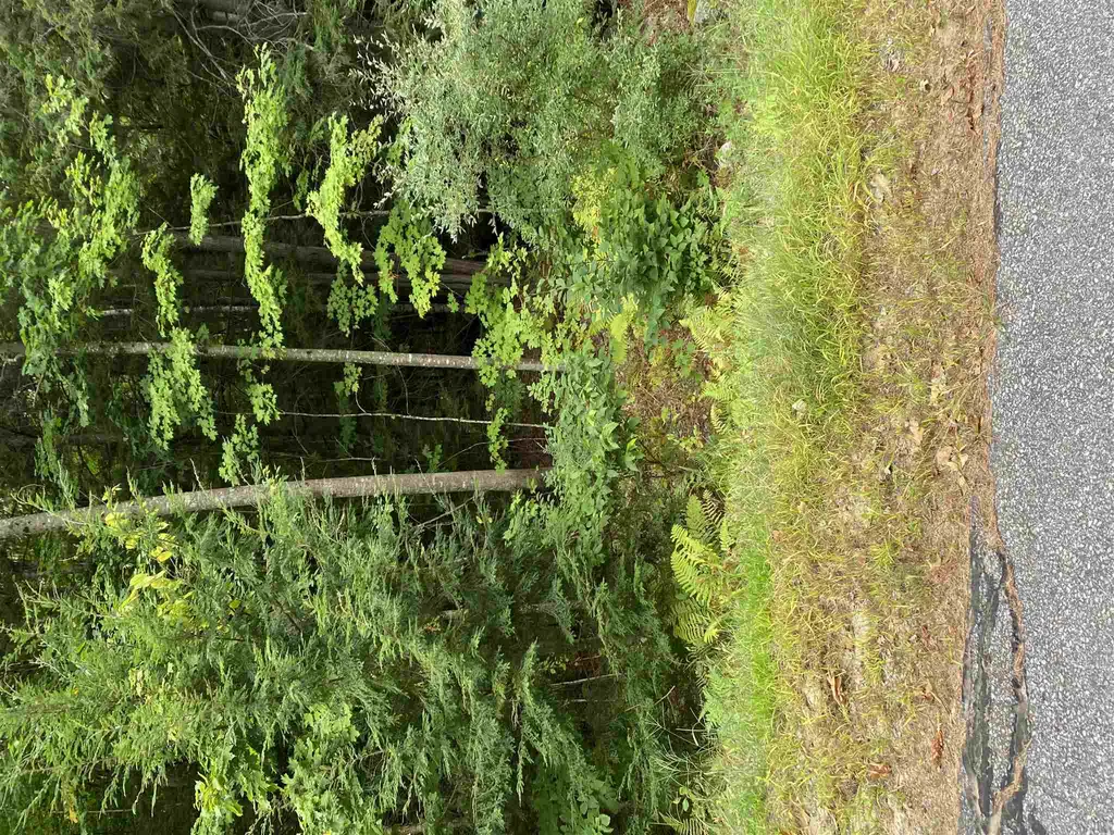 37 Hedgewood Circle Gilford NH 03249
