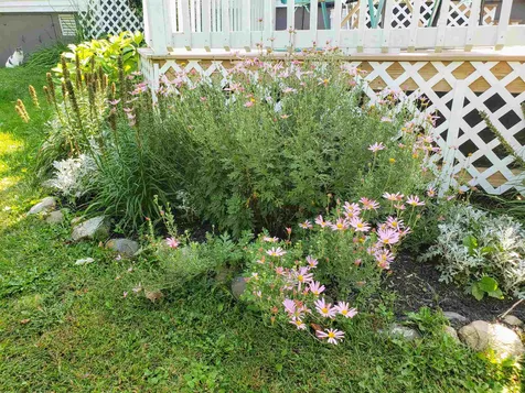 281 Terrace Drive Derby VT 05829