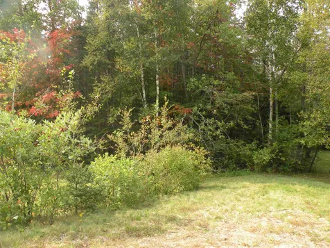 0 Route 3 North Carroll NH 03595