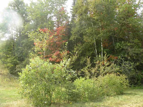 0 Route 3 North Carroll NH 03595