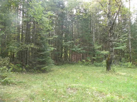 0 Route 3 North Carroll NH 03595