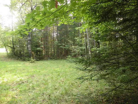 0 Route 3 North Carroll NH 03595