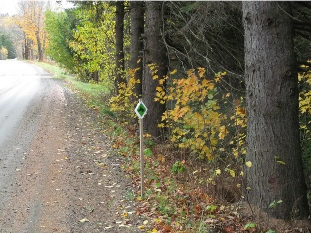- East Colebrook Road Colebrook NH 03576