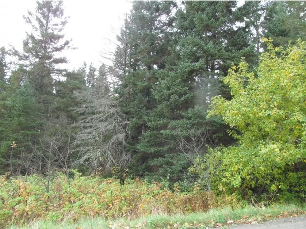 - East Colebrook Road Colebrook NH 03576