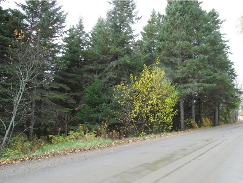 - East Colebrook Road Colebrook NH 03576