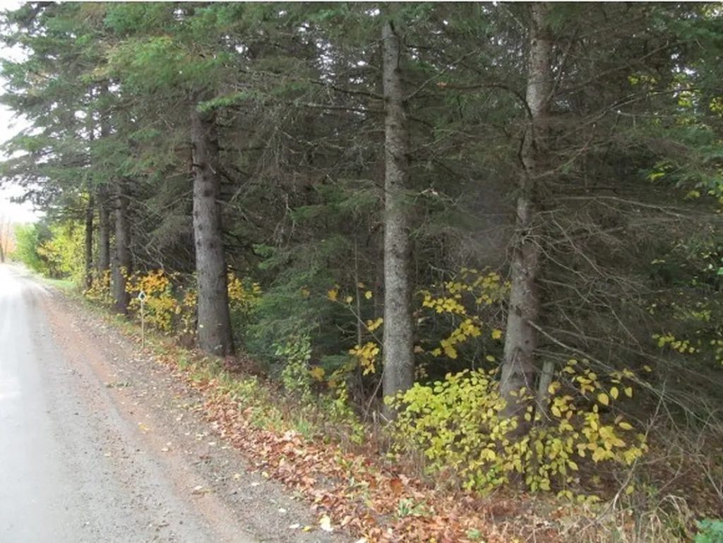 - East Colebrook Road Colebrook NH 03576