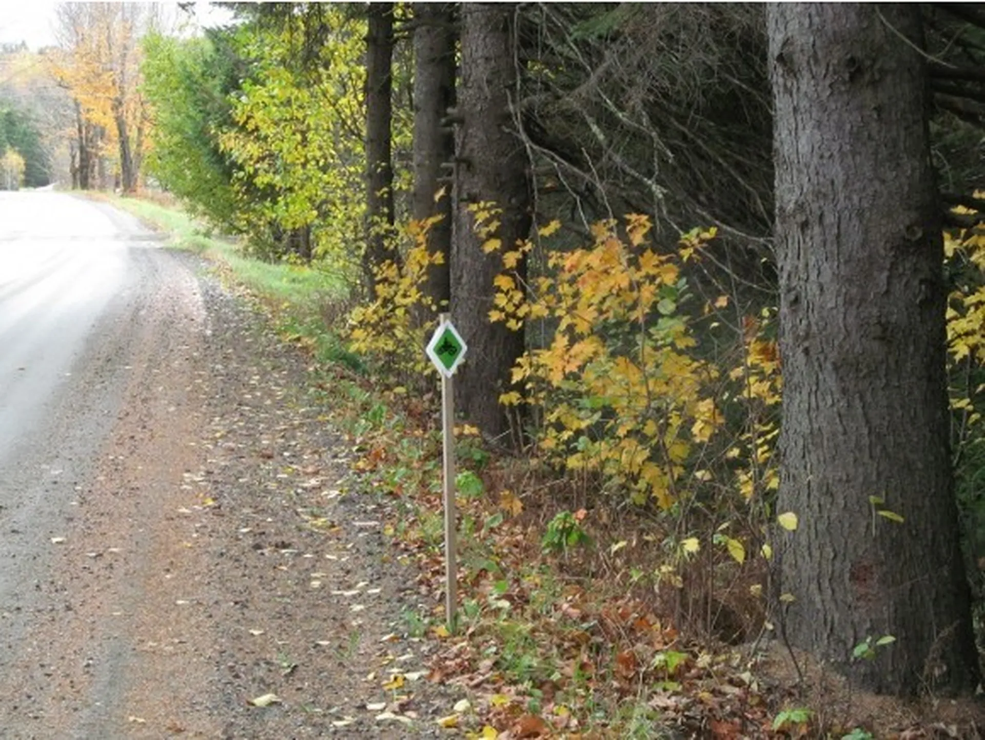 - East Colebrook Road Colebrook NH 03576