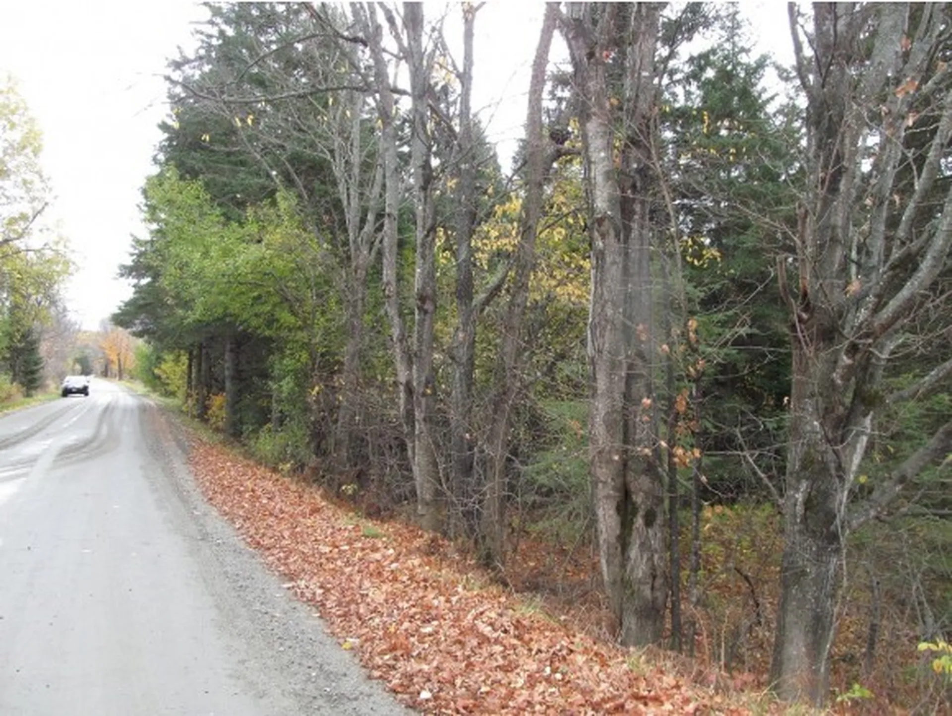 - East Colebrook Road Colebrook NH 03576