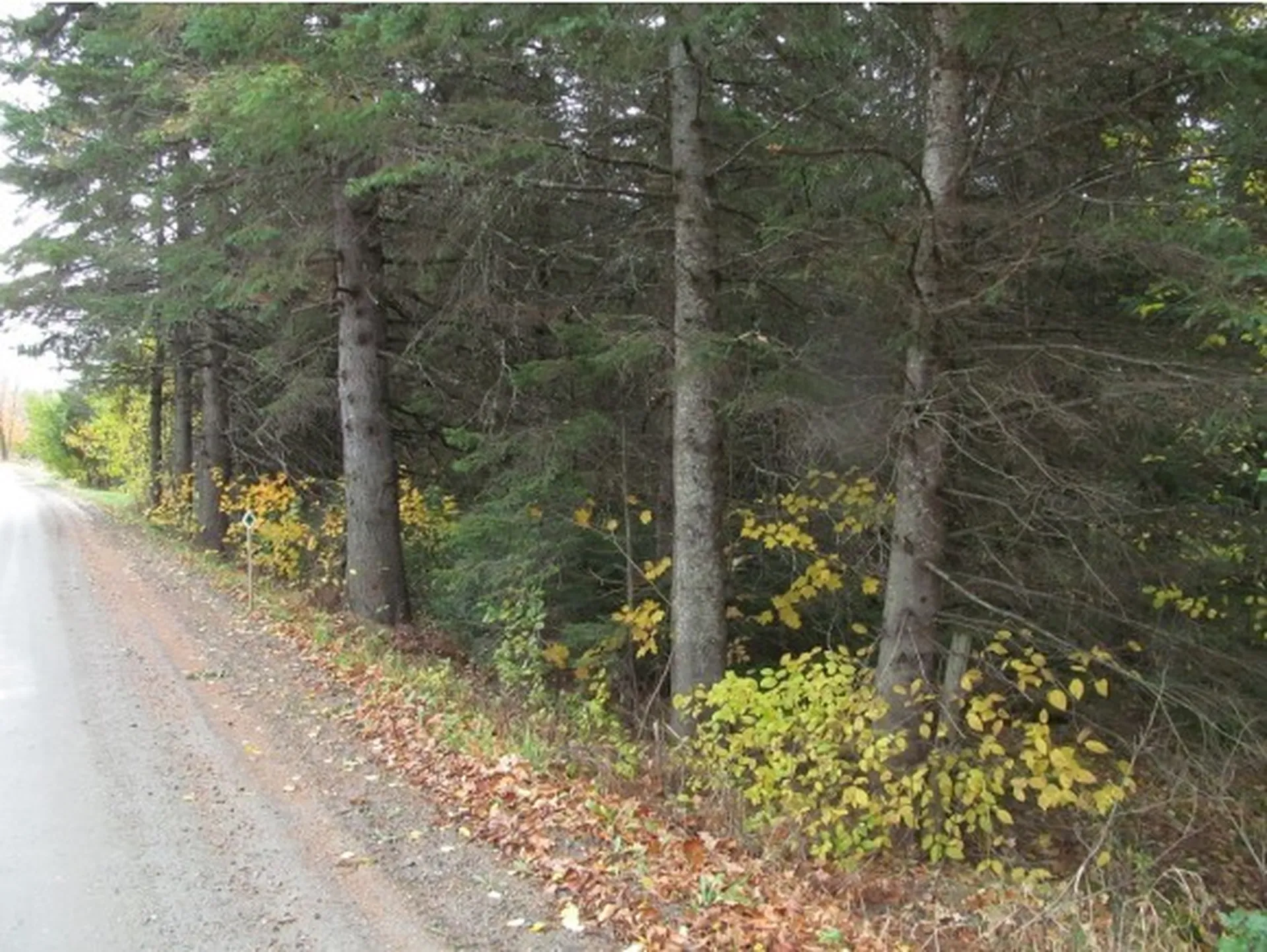 - East Colebrook Road Colebrook NH 03576
