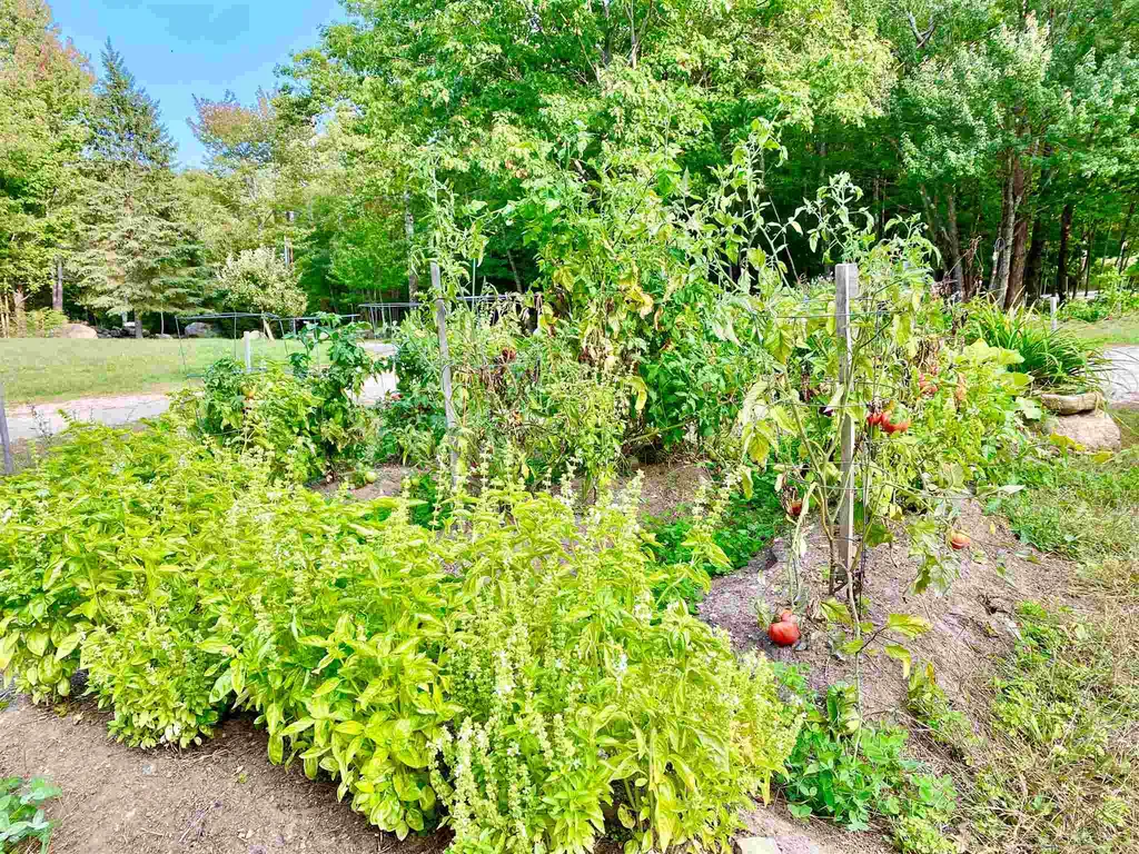 193 Pedrick Road Wilmot NH 03287
