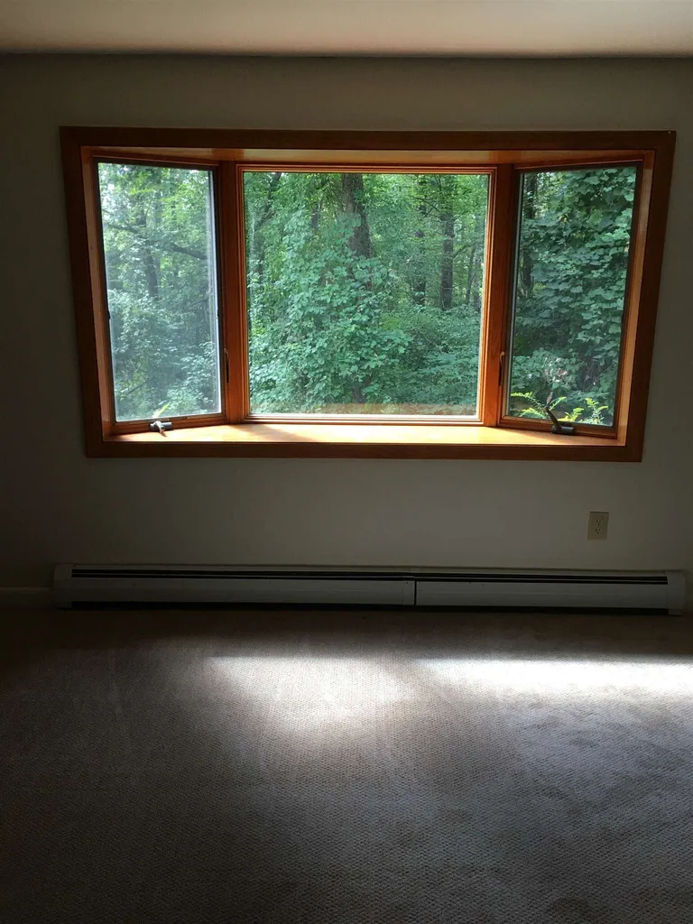 10 Partridge Drive Wolfeboro NH 03894