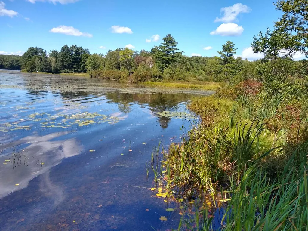 16 Pumphouse Lane Alstead NH 03602