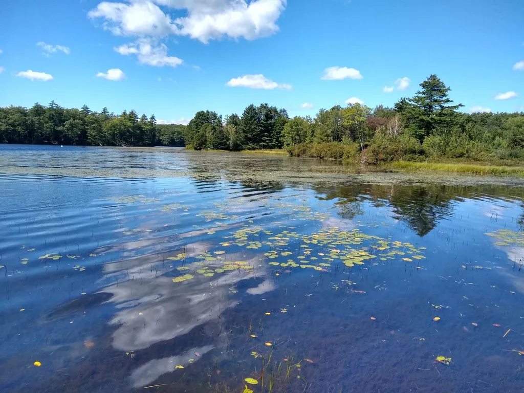 16 Pumphouse Lane Alstead NH 03602