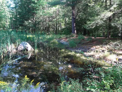 536 Beartown Lane Williston VT 05495