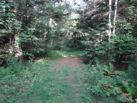 536 Beartown Lane Williston VT 05495