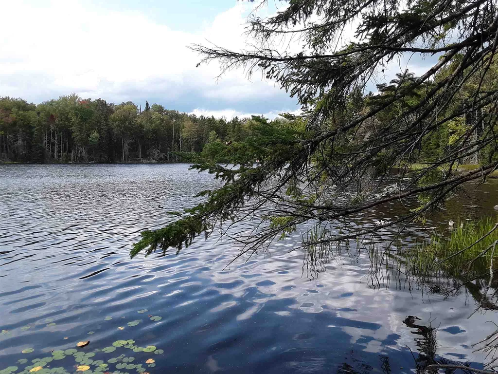 950 Peacham Pond Road Peacham VT 05862