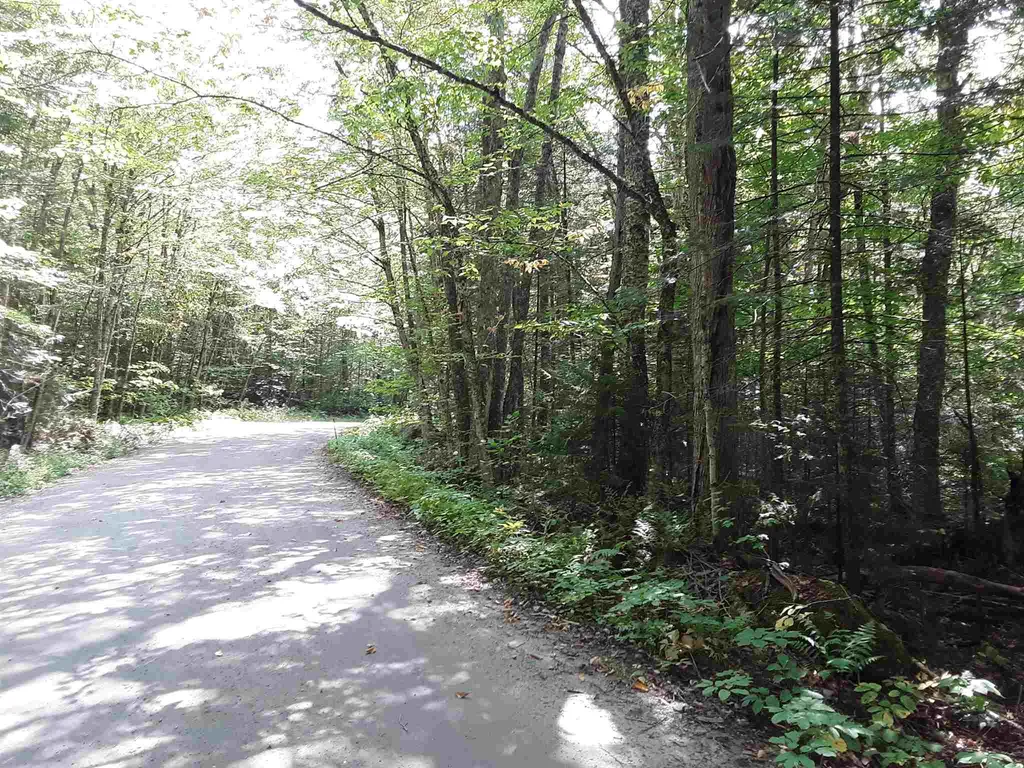 950 Peacham Pond Road Peacham VT 05862