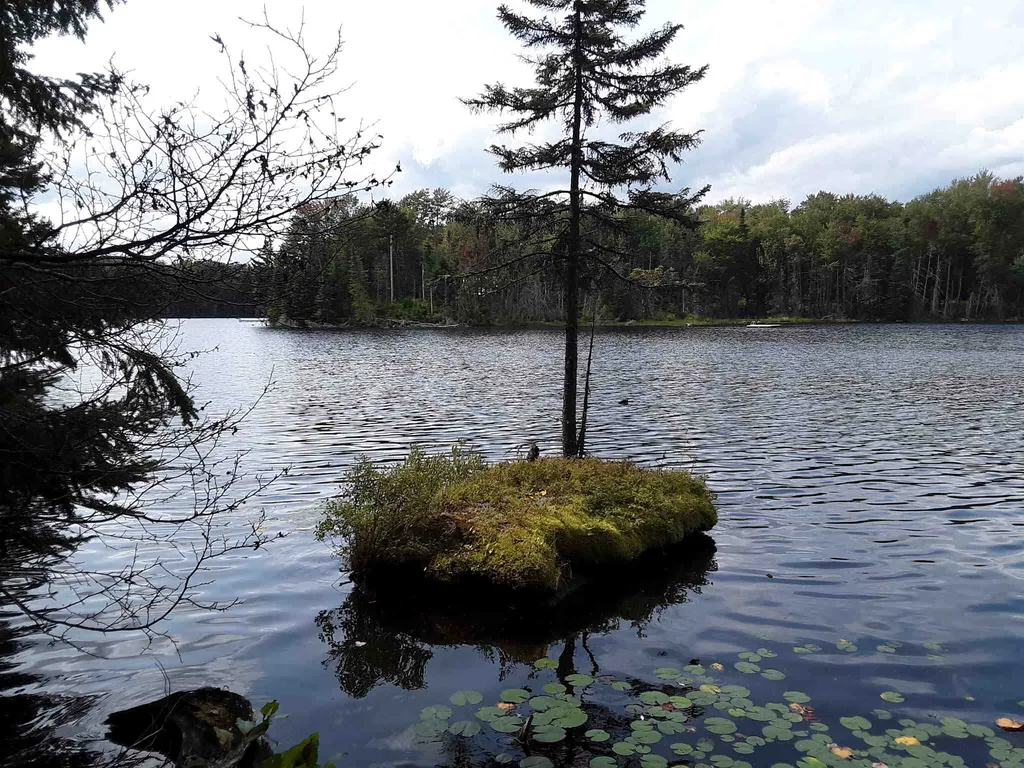 950 Peacham Pond Road Peacham VT 05862