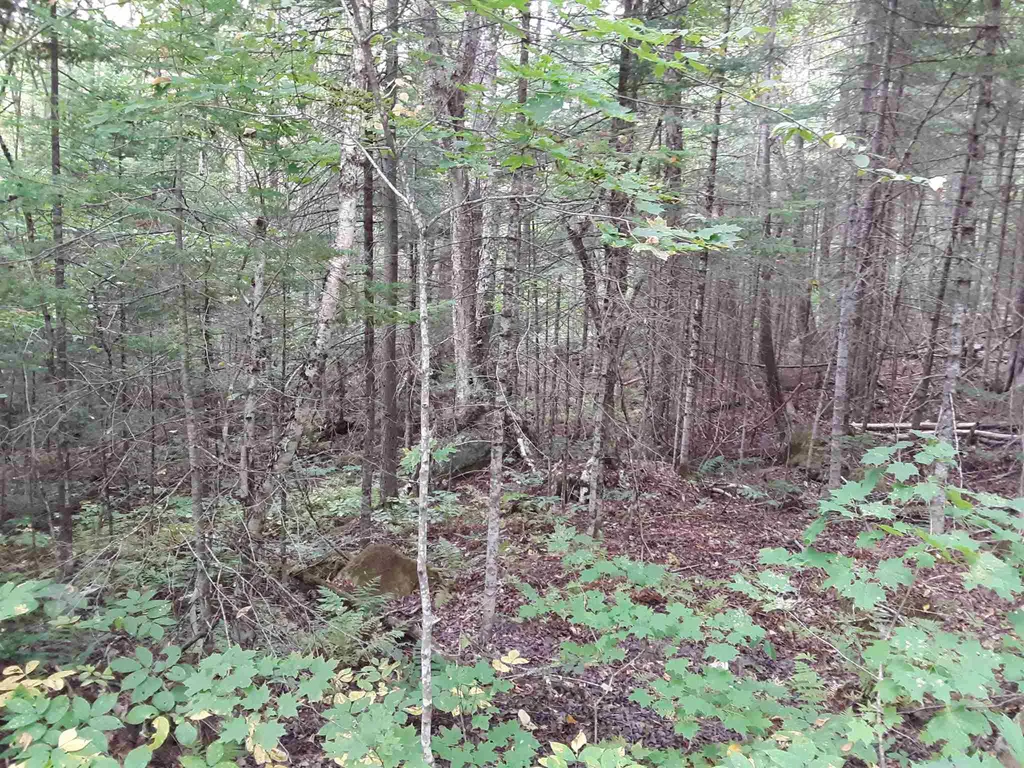 950 Peacham Pond Road Peacham VT 05862