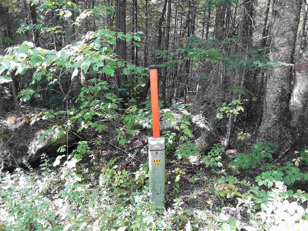 950 Peacham Pond Road Peacham VT 05862