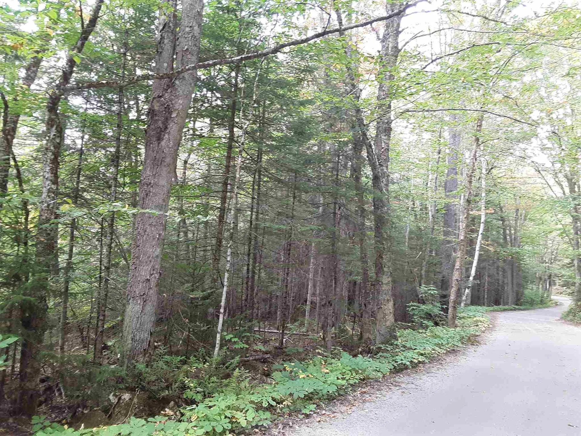 950 Peacham Pond Road Peacham VT 05862