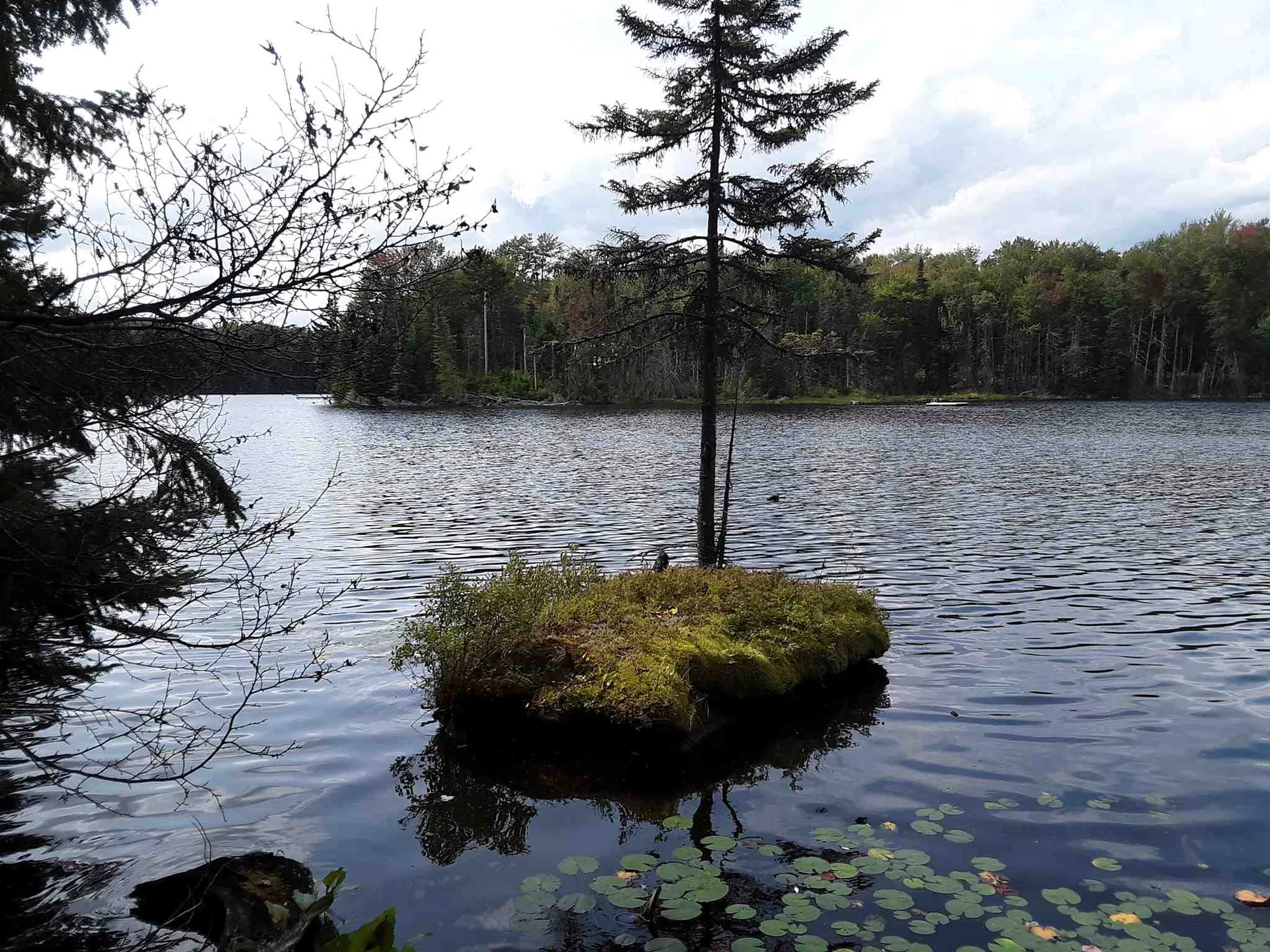 950 Peacham Pond Road Peacham VT 05862