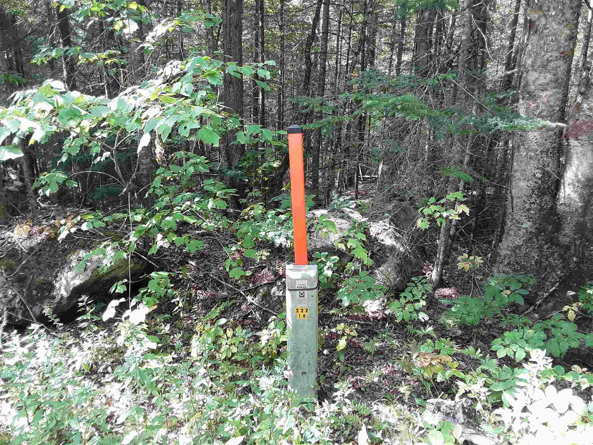 950 Peacham Pond Road Peacham VT 05862