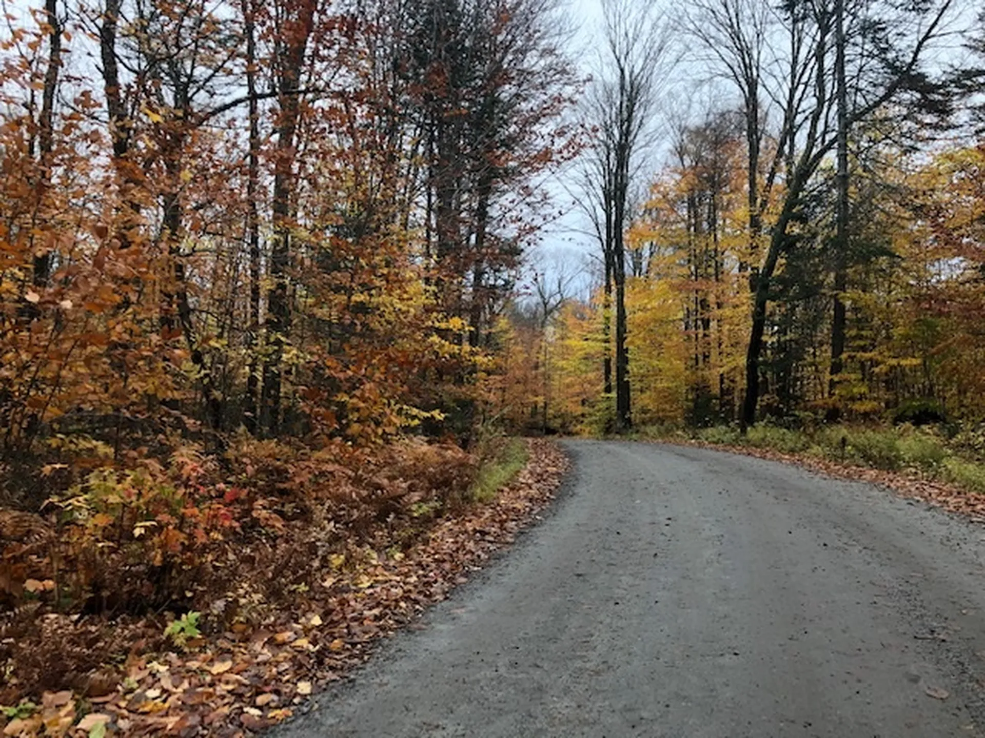 950 Peacham Pond Road Peacham VT 05862