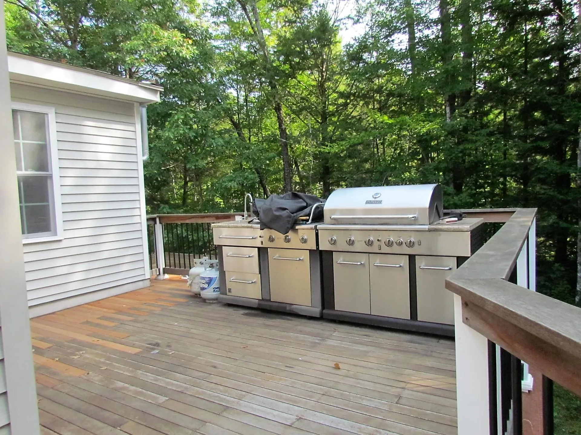 132 New Hampshire Drive Webster NH 03303