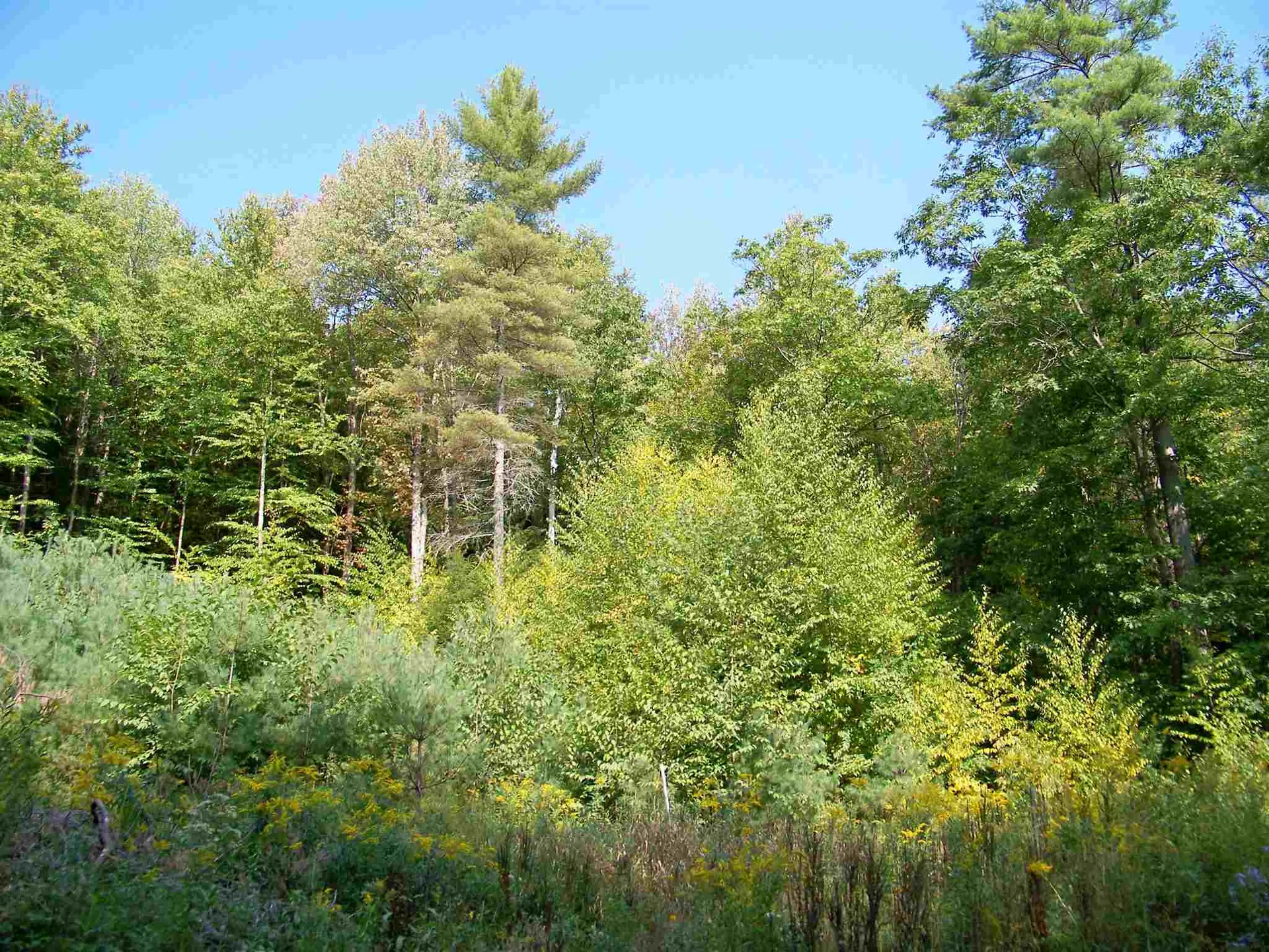 175 Sunset Rock Road Lebanon NH 03766