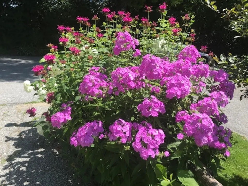 131 Malletts Bay Avenue Winooski VT 05404