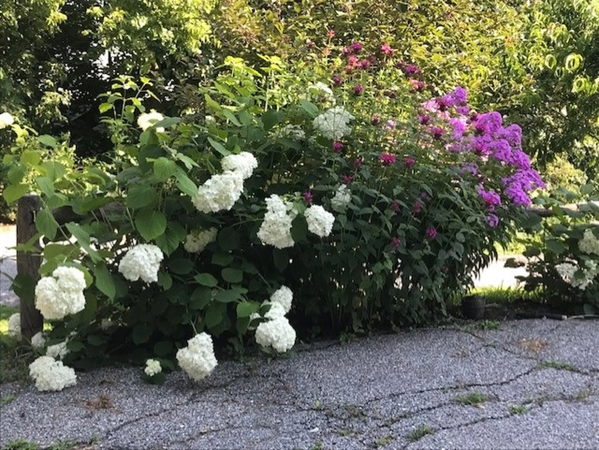 131 Malletts Bay Avenue Winooski VT 05404