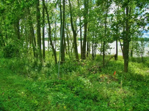 Lot #10 Terrapin Lane Alburgh VT 05440