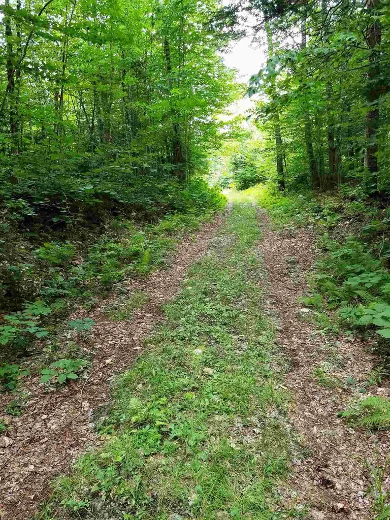 902 South County Road Groton VT 05046