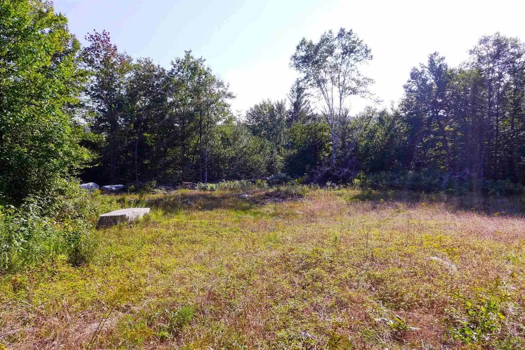 902 South County Road Groton VT 05046