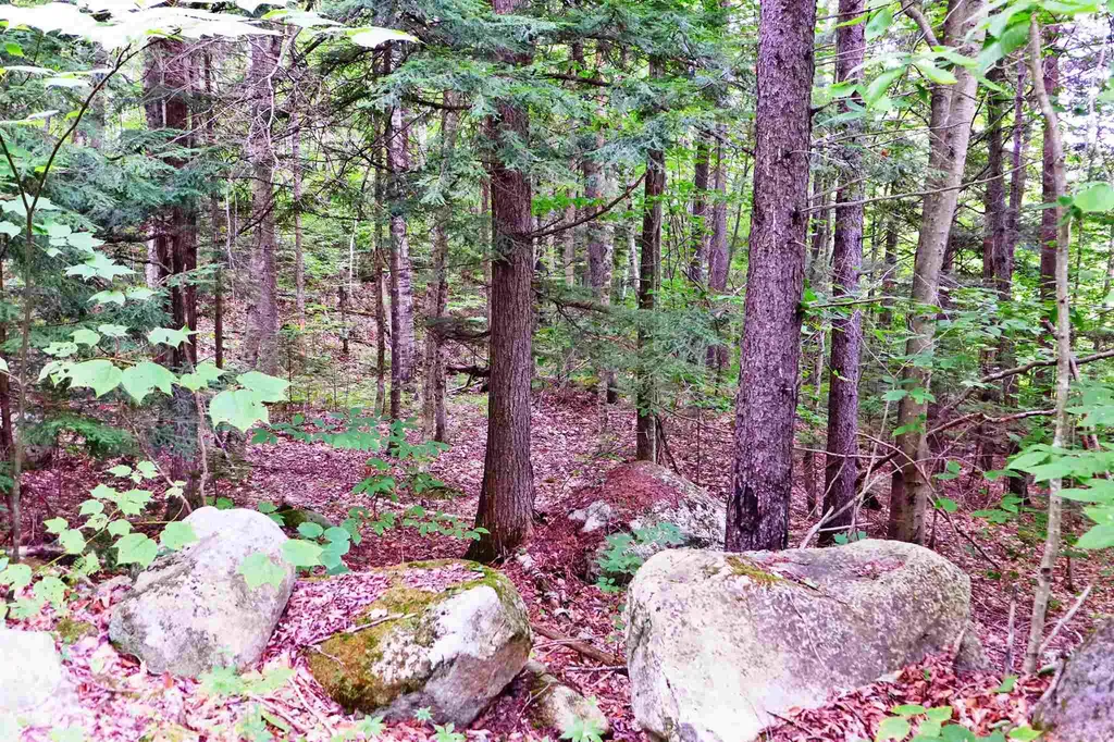 902 South County Road Groton VT 05046