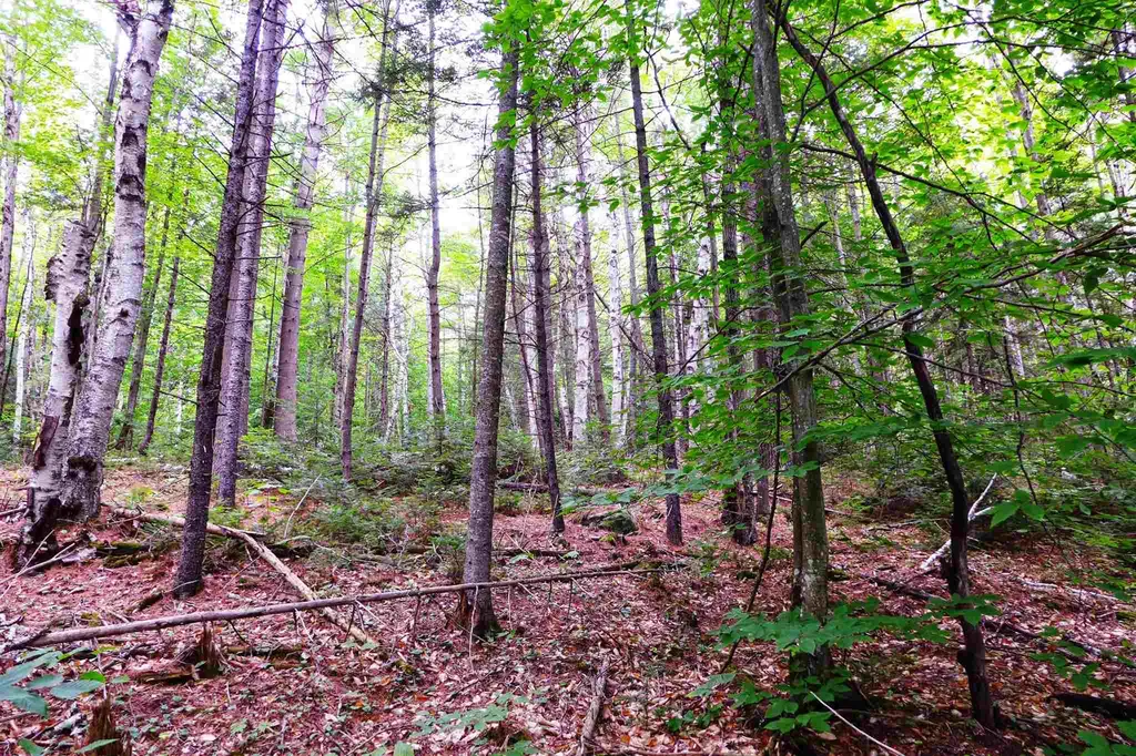 902 South County Road Groton VT 05046
