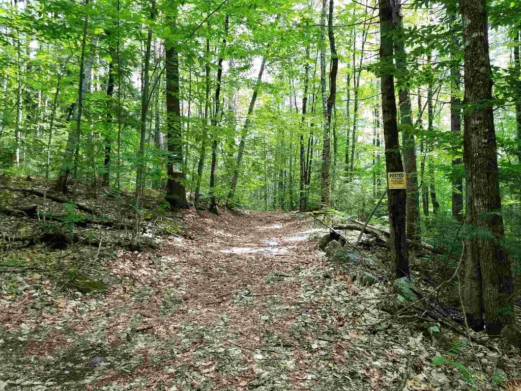 902 South County Road Groton VT 05046