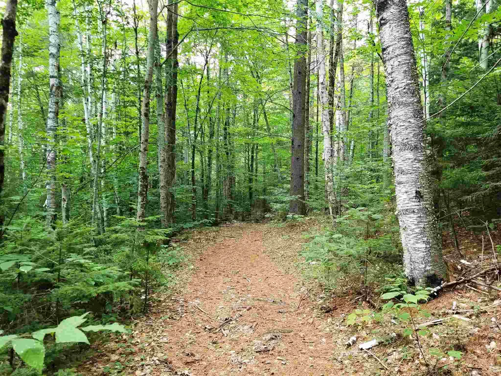 902 South County Road Groton VT 05046