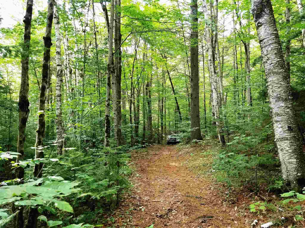 902 South County Road Groton VT 05046