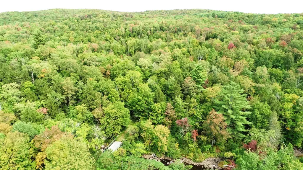 902 South County Road Groton VT 05046