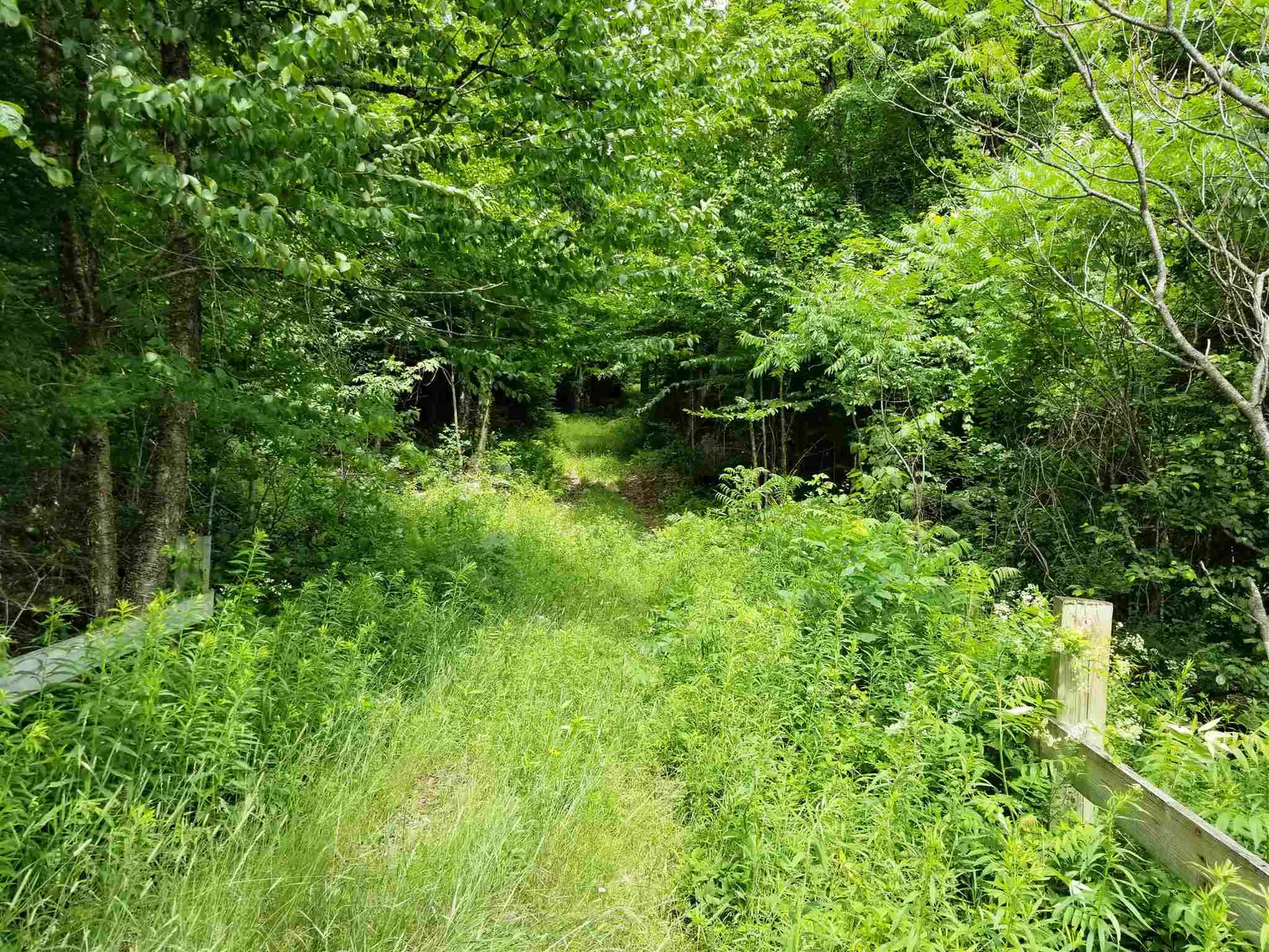 902 South County Road Groton VT 05046