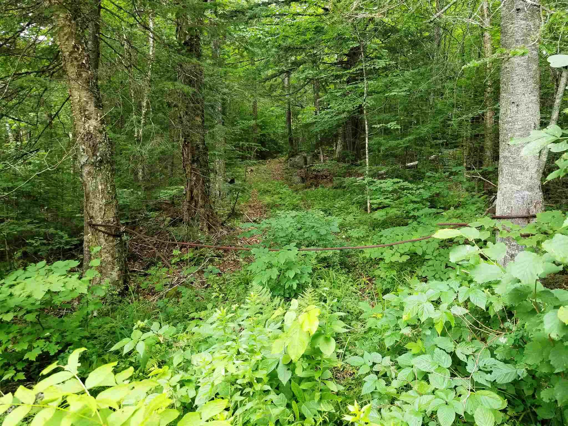 902 South County Road Groton VT 05046