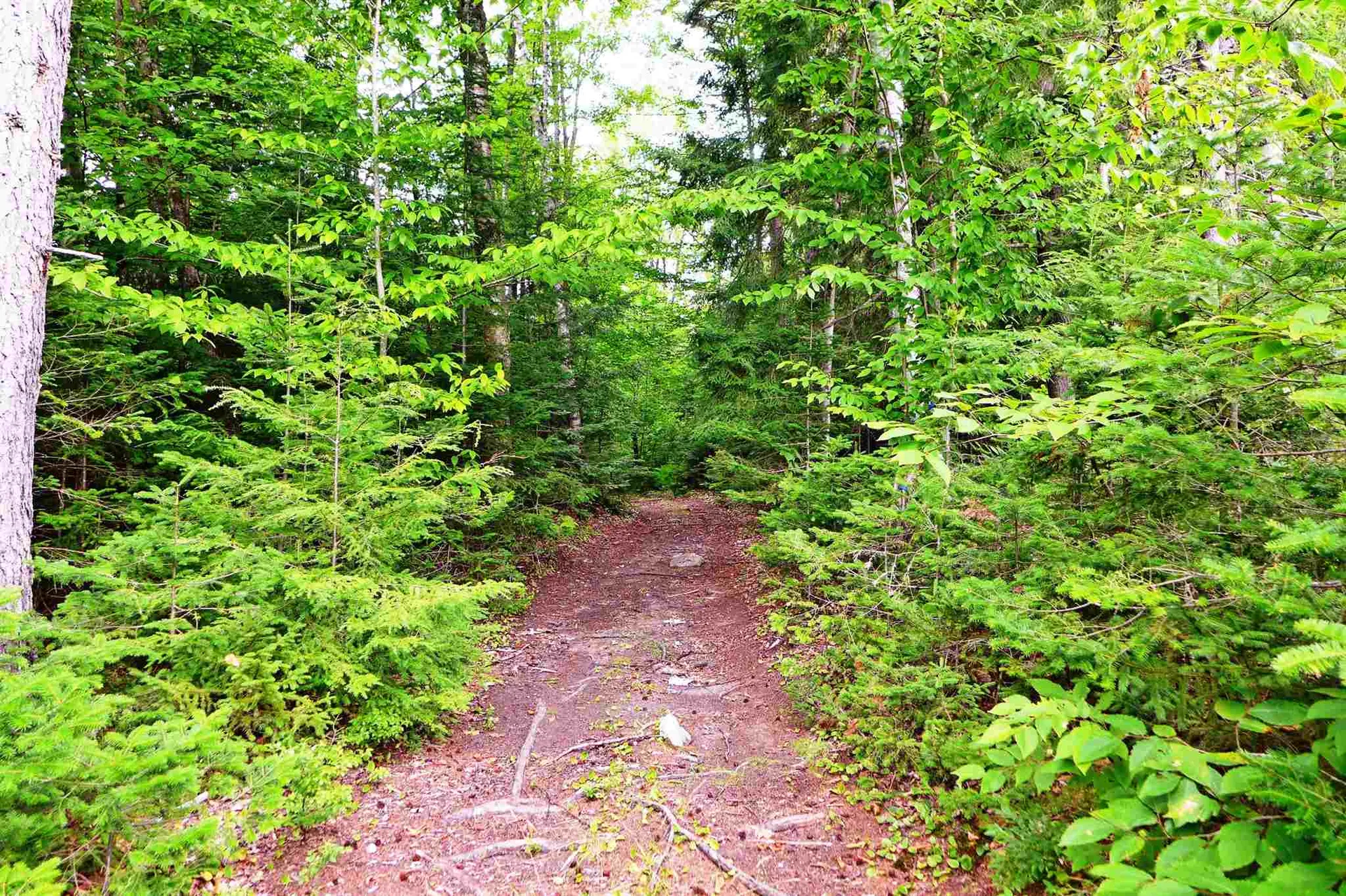 902 South County Road Groton VT 05046