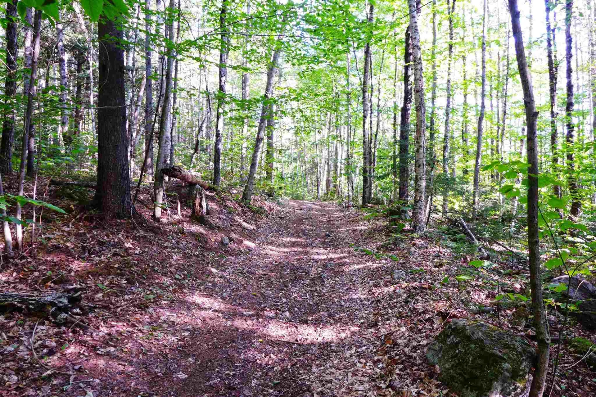 902 South County Road Groton VT 05046