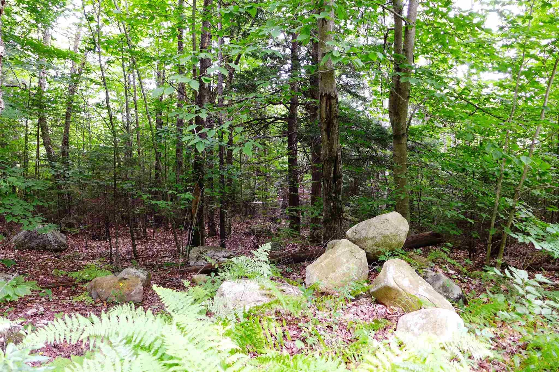 902 South County Road Groton VT 05046